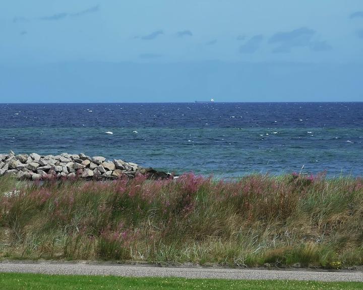 Deichterrassen Heidkate